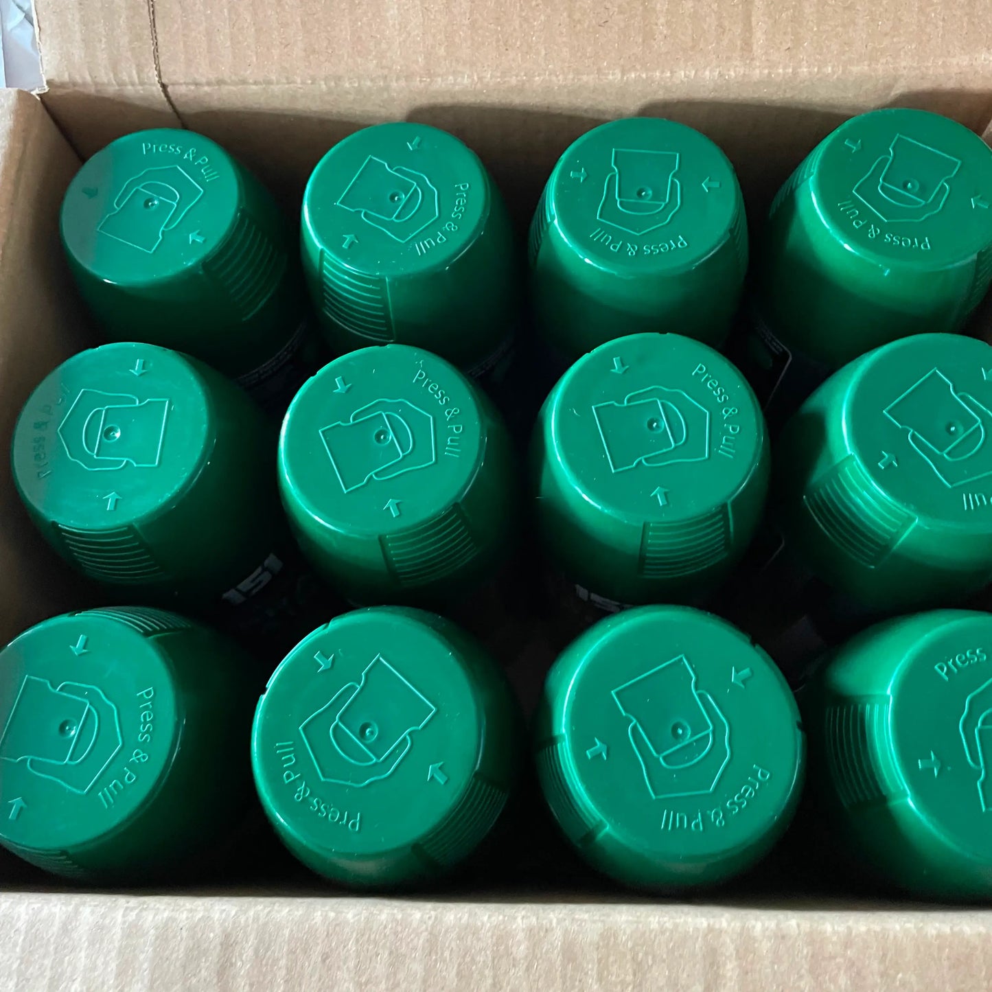 12 X 151 Green Gloss Spray Paint 400ml (1 Box) – Fast Dry Multi-Purpose Paint for Wood, Metal, Plastic & More in the box